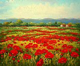 Poppy field by Unknown Artist